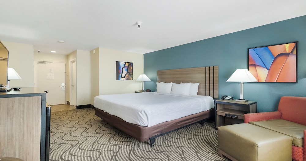 Standard Room, 1 King Bed, Non Smoking, Refrigerator- Pool View - Photo 3