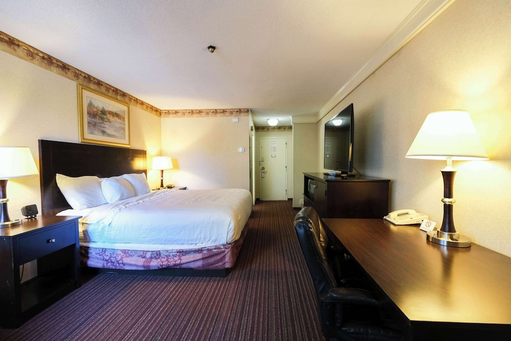 Room, 1 King Bed, Courtyard View - Photo 6