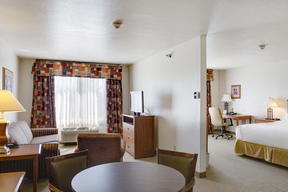 Suite, 1 Queen Bed photo 3