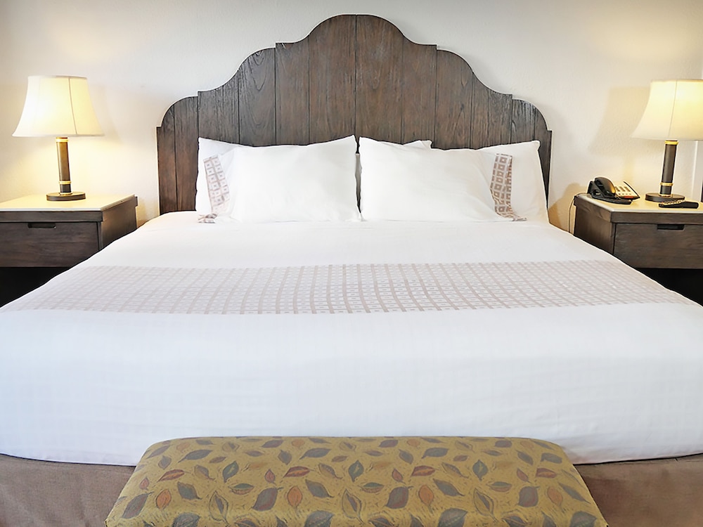 Standard Room, 1 King Bed, Accessible