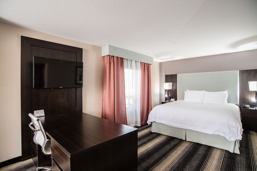 Executive Suite, 1 King Bed photo 2
