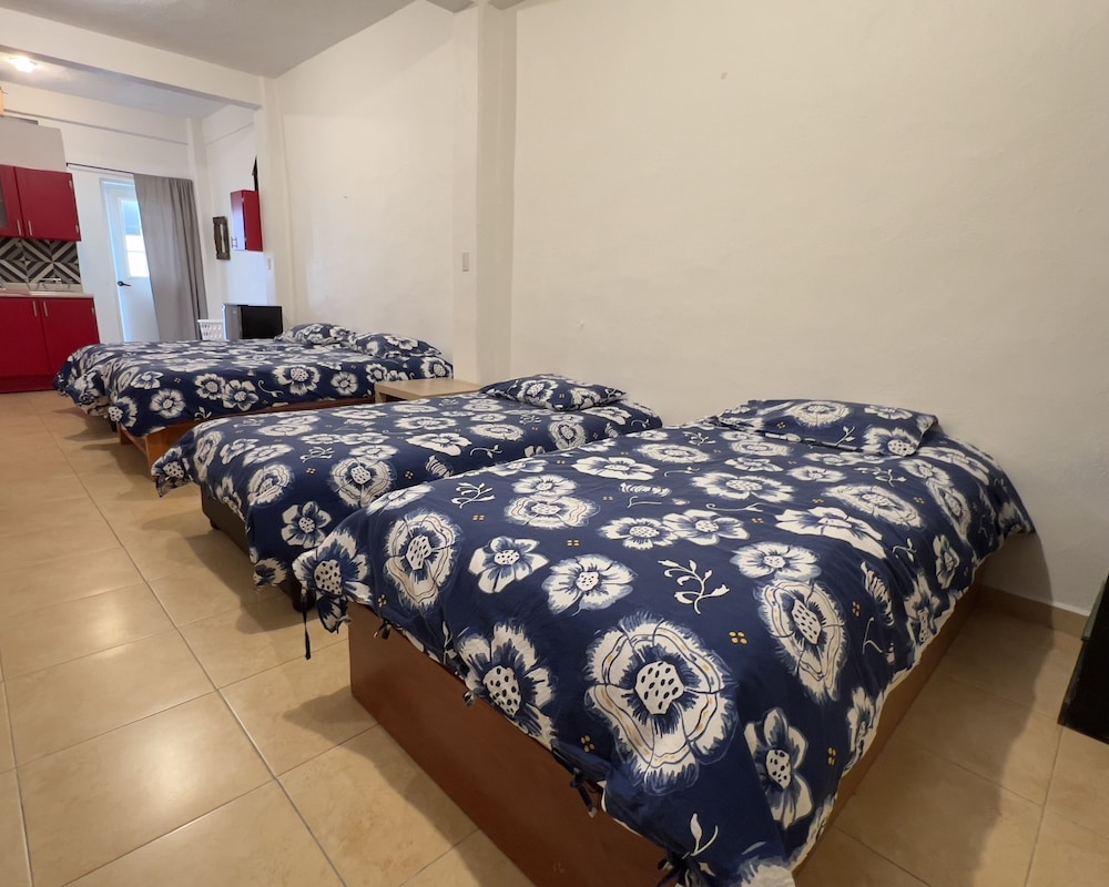 Standard Apartment, 1 Bedroom, Ensuite, Courtyard View photo 1