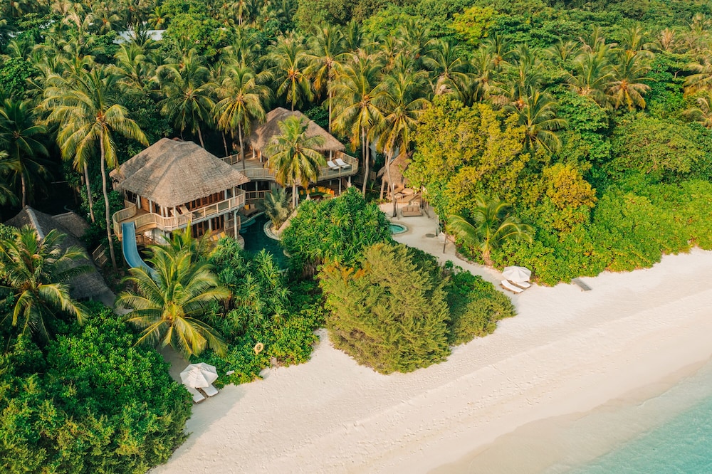 Room, 4 Bedrooms (jungle Reserve)