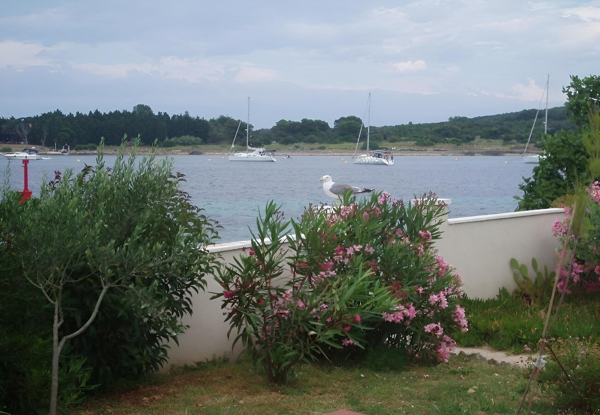 Studio (Azur - 10 m from sea - SA2(2+1)) photo 2