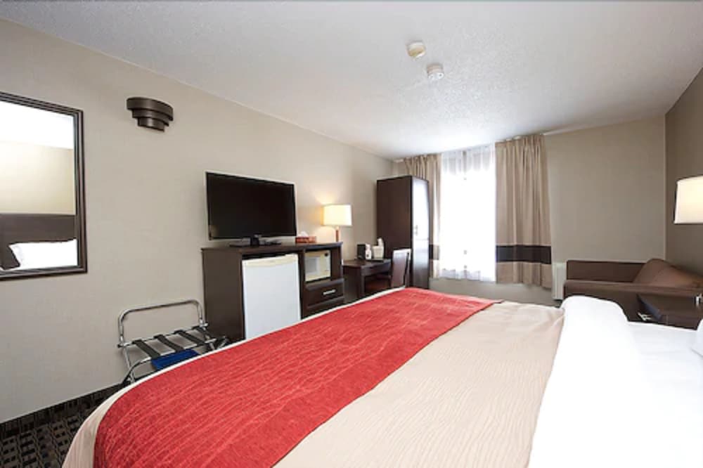 Standard Room, 1 King Bed, Non Smoking - Photo 5