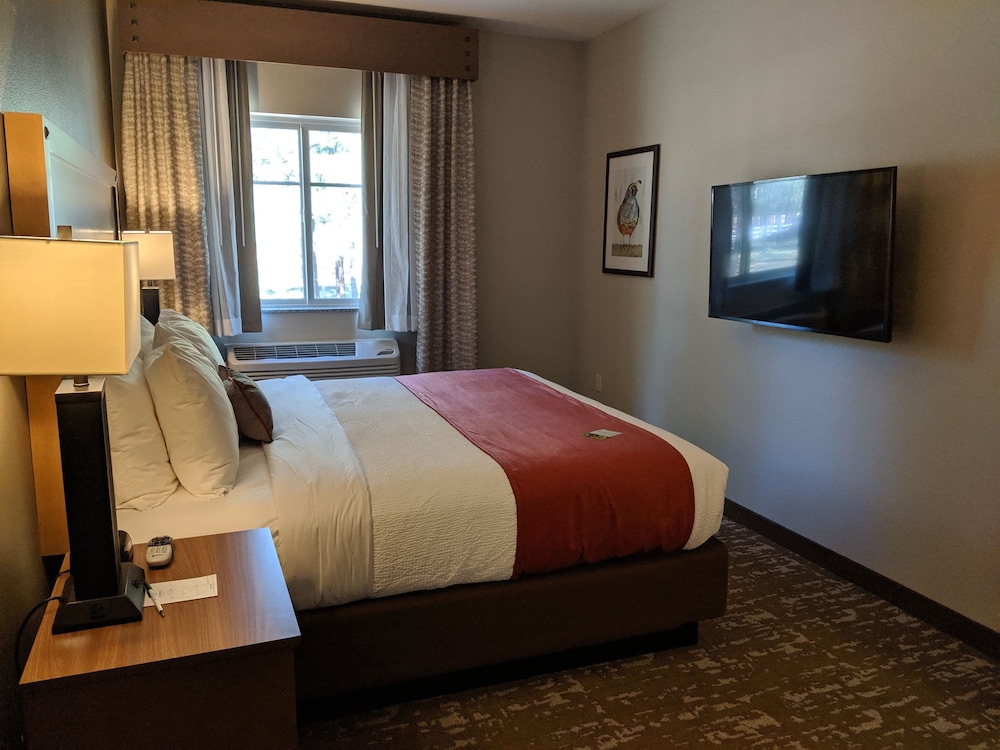 Suite, 1 King Bed with Sofa bed (One Bedroom King Suite) - Photo 2