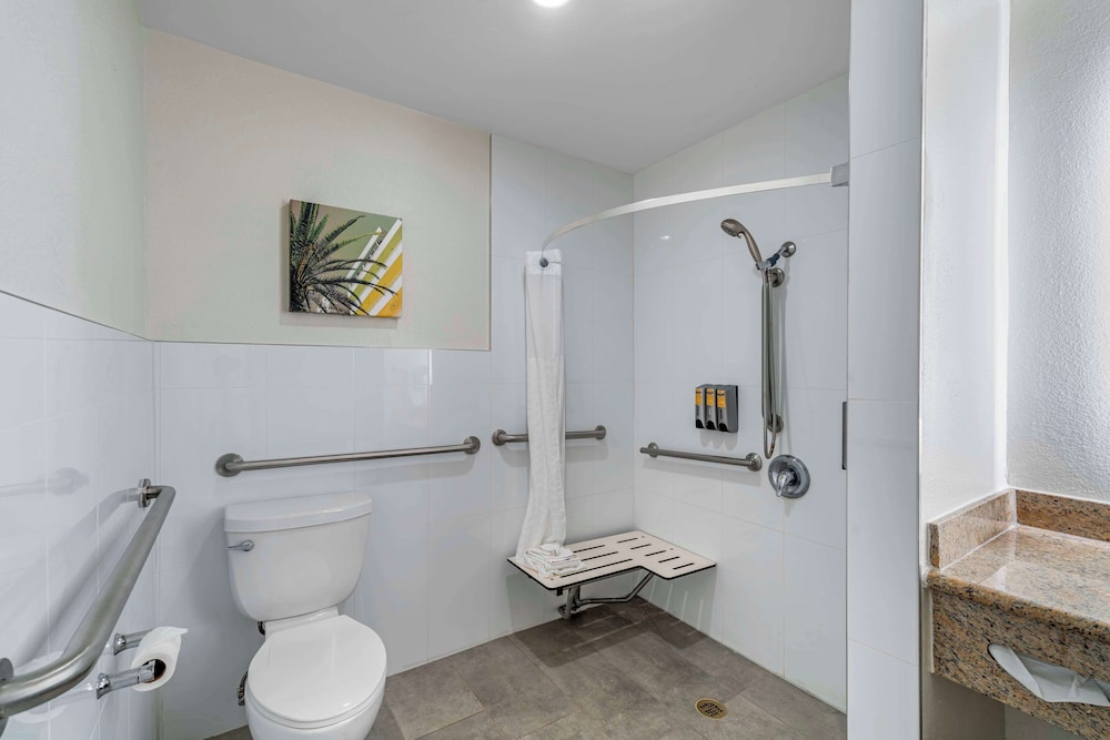 Suite, 1 King Bed, Accessible, Non Smoking (With Sofabed) - Photo 4
