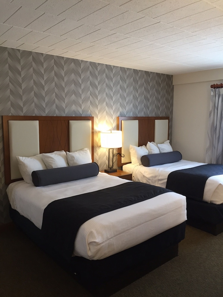 Room, 1 Bedroom
