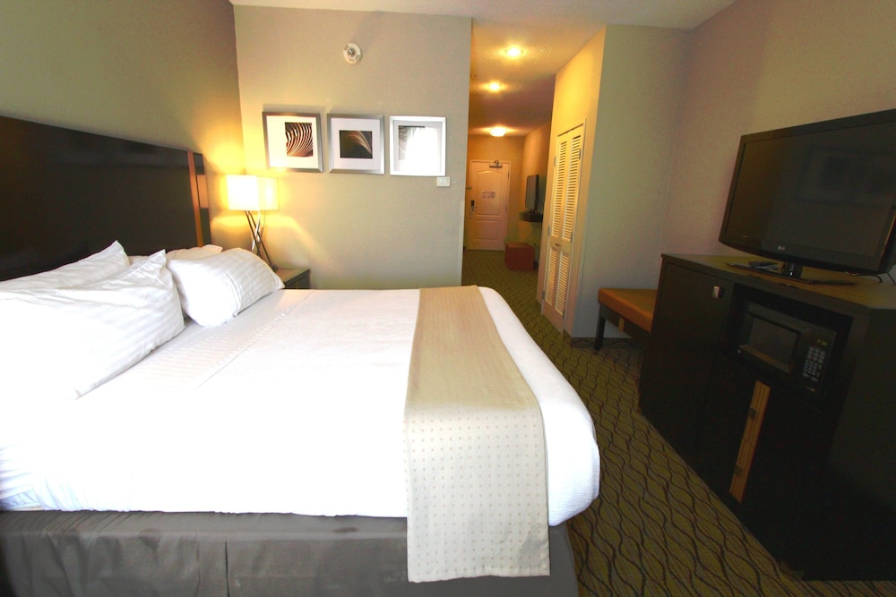 Suite, 1 King Bed with Sofa bed, Hearing Accessible (Mobility, Access Tub)