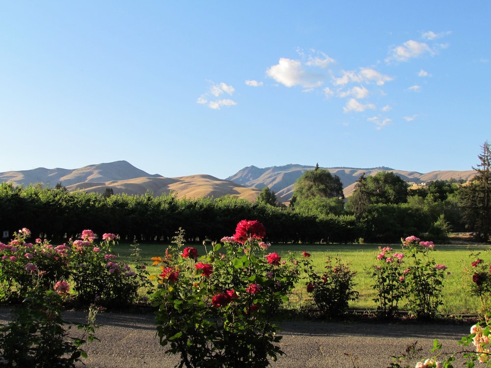 Garden Suite photo 3