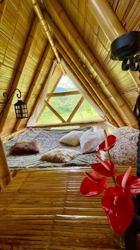 Deluxe Cabin photo 1