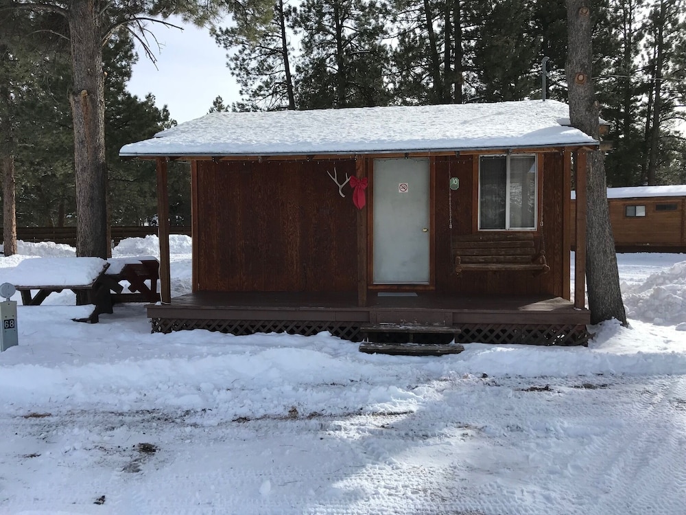 Economy Cabin (10)