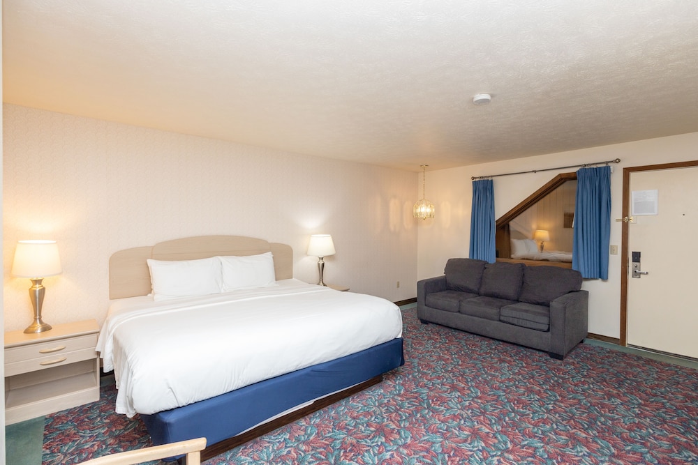 Room, 1 King Bed with Sofa bed