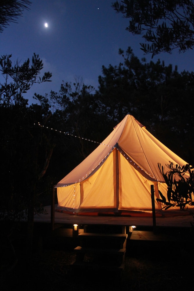 Tent photo 3