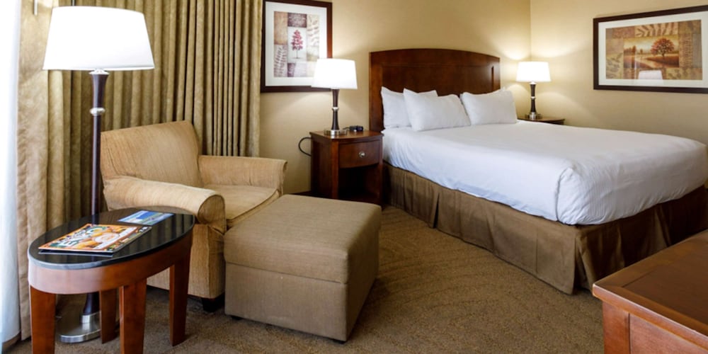 Premium Room, 1 King Bed photo 2