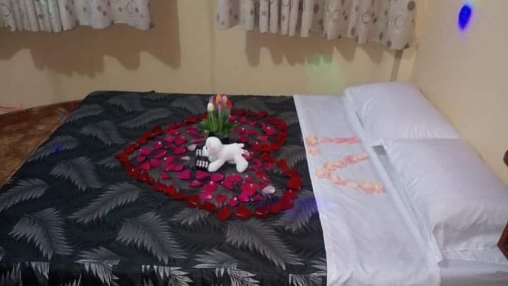 Basic Single Room