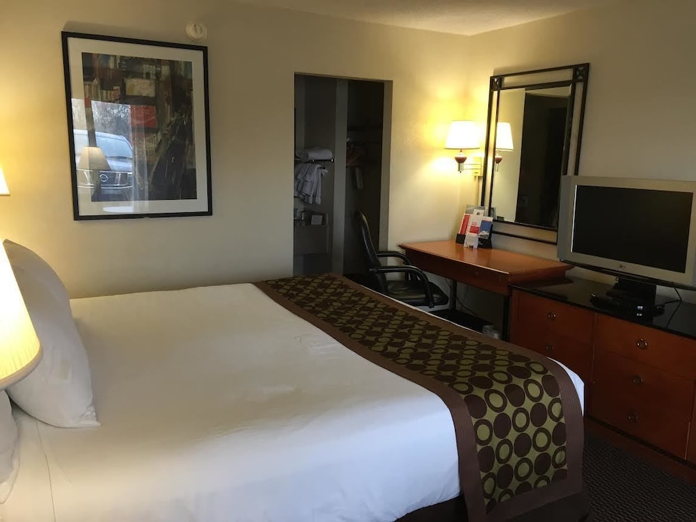 Suite, 1 King Bed, Non Smoking photo 2