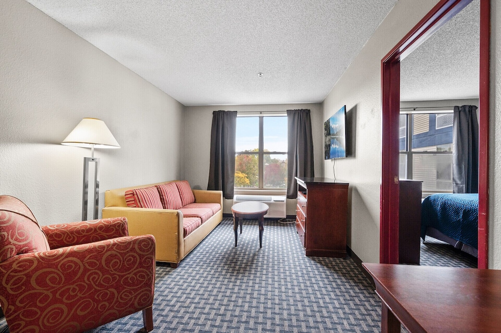 Standard Suite, 1 Queen Bed with Sofa bed, Kitchen photo 1