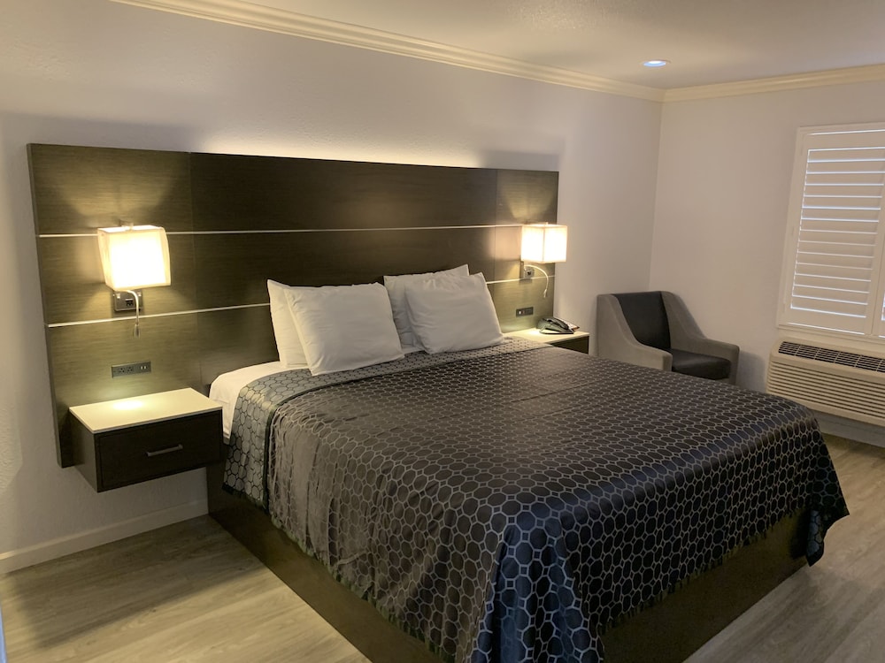 Single Room, 1 King Bed