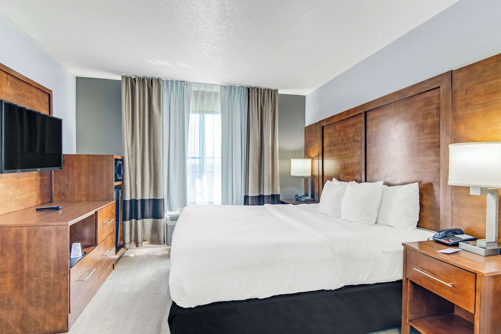 Standard Room, 1 King Bed, Non Smoking