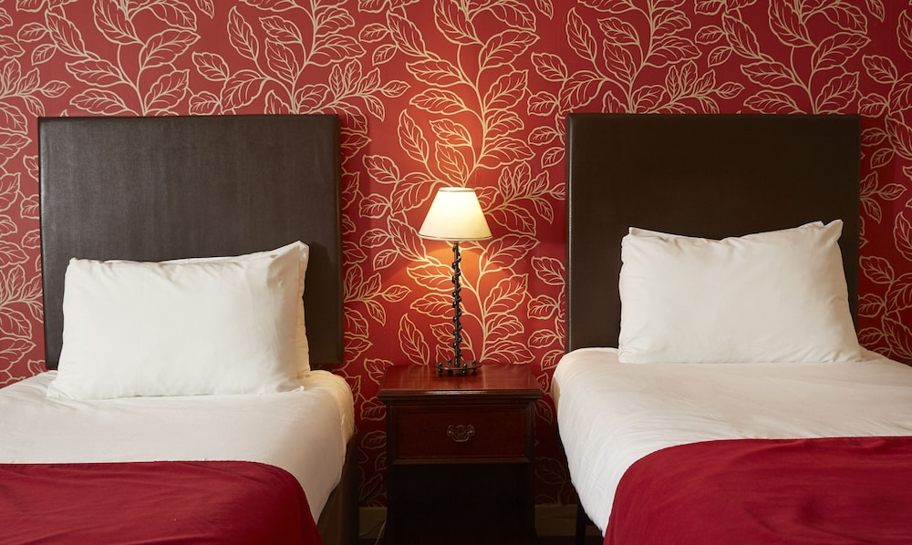 Twin Room photo 2