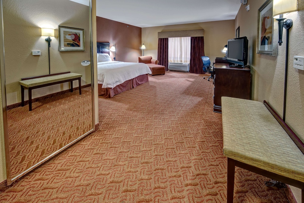 Room, 1 King Bed, Accessible - Photo 3