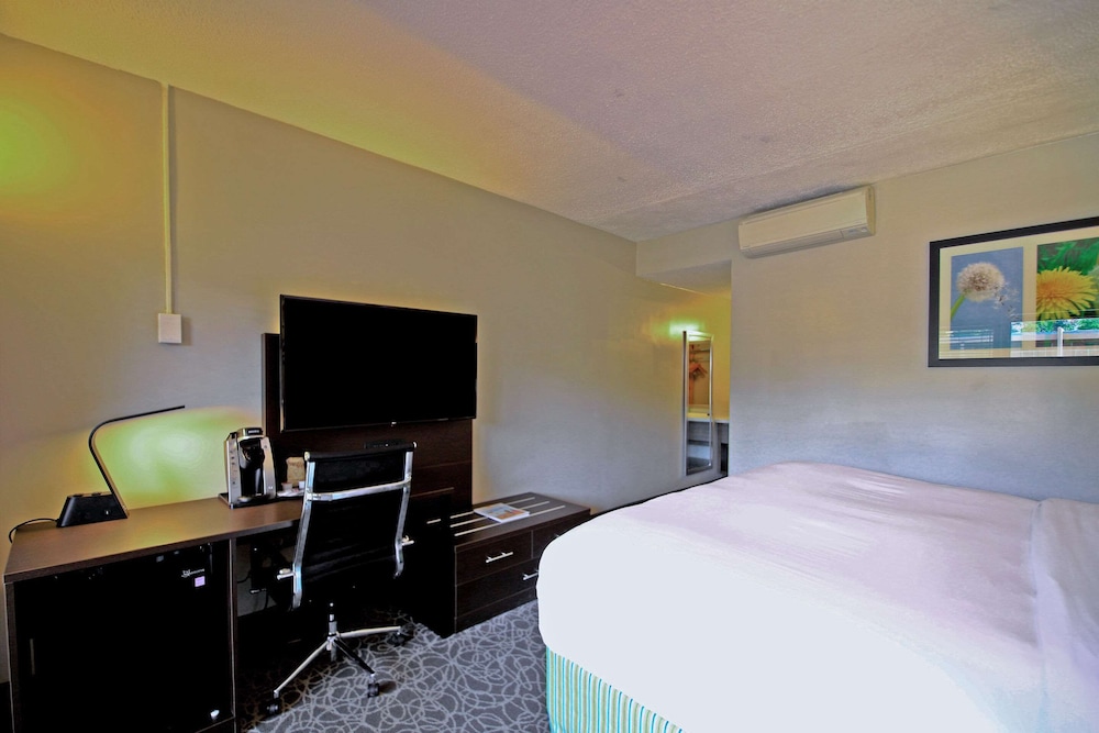 Standard Room, 1 King Bed, Non Smoking - Photo 3