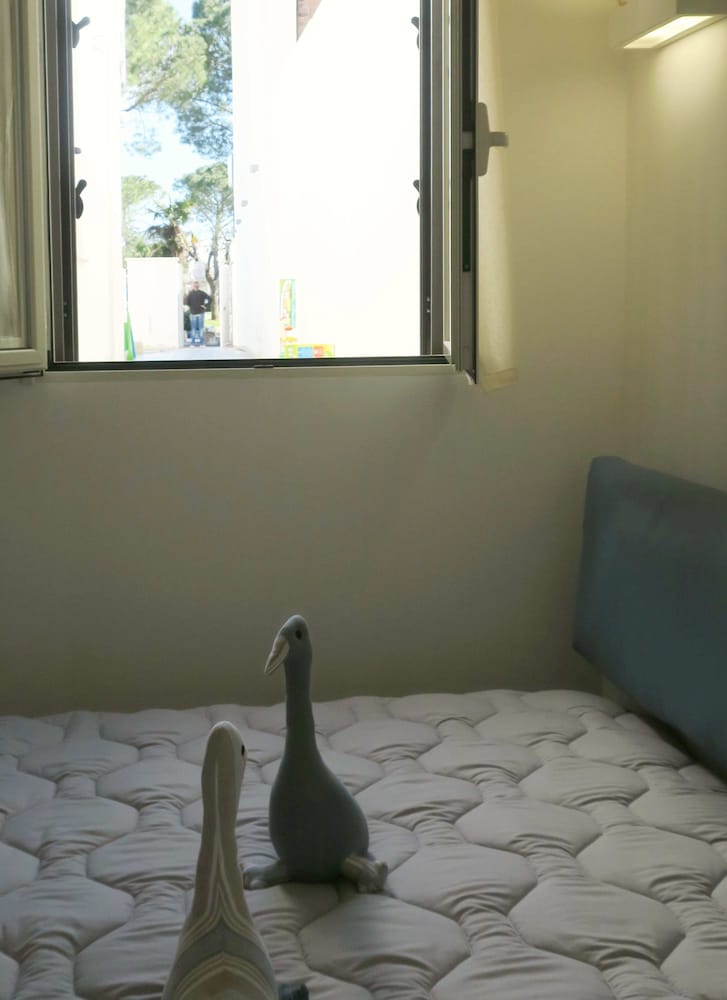 Comfort Triple Room, 1 Bedroom, Private Bathroom, Park View photo 2