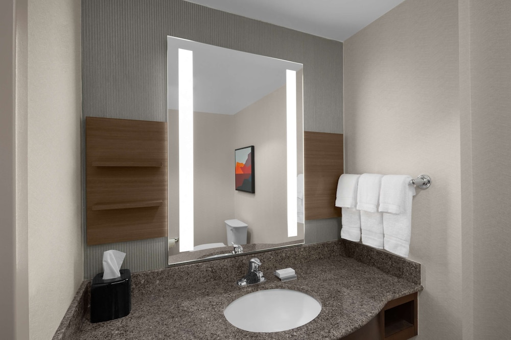 Suite, 1 King Bed, Accessible - Photo 7