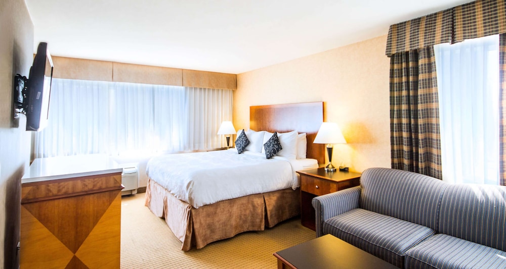 Standard Room, 1 King Bed, Non Smoking, Microwave - Photo 1