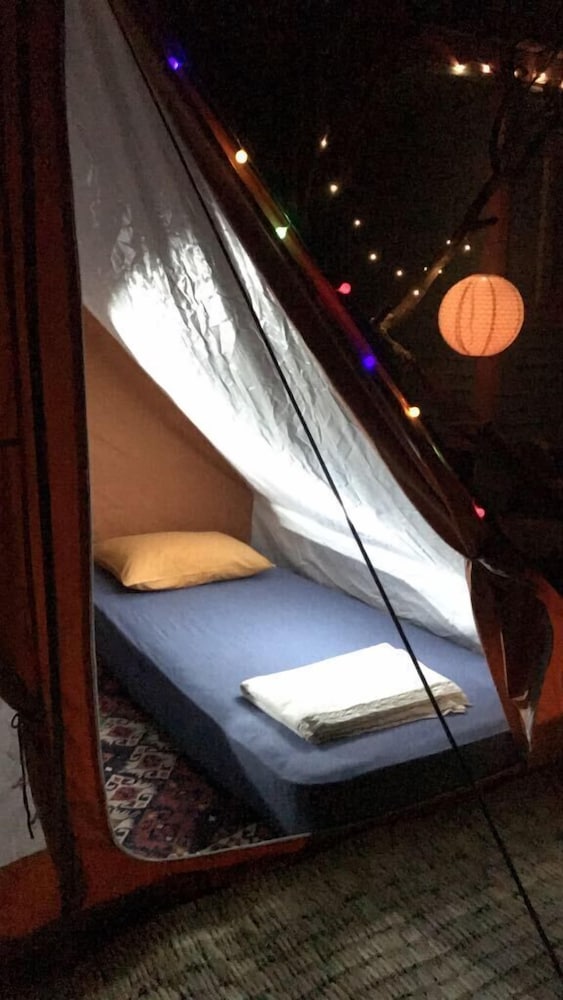 Standard Tent