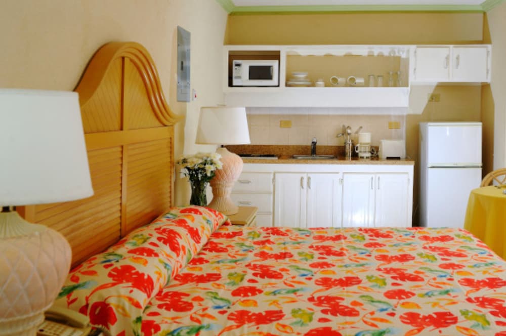 Deluxe Studio Suite