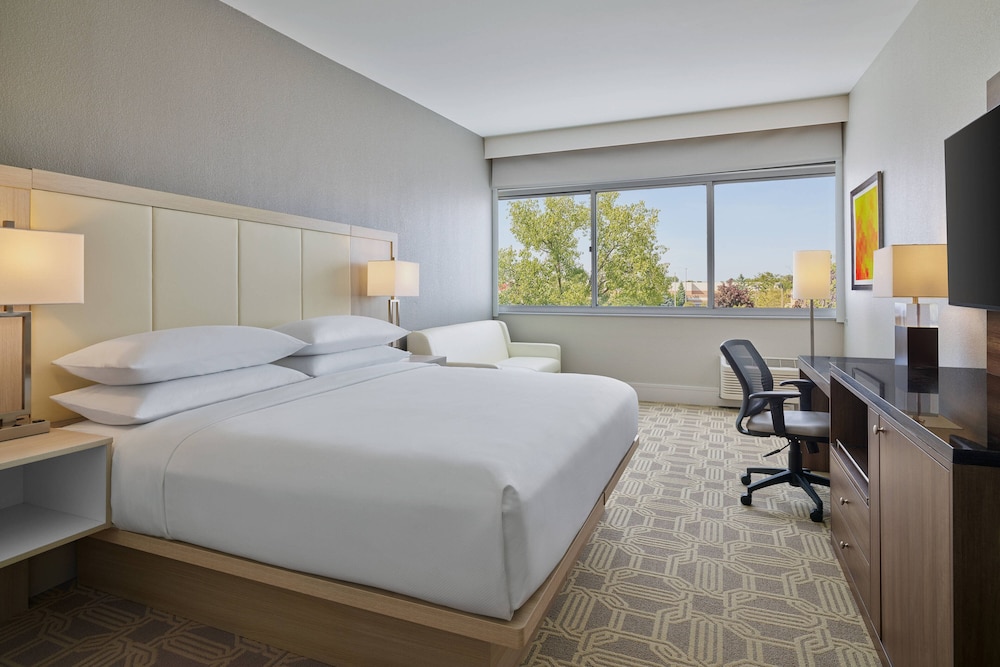 Suite, 1 Bedroom - Photo 1