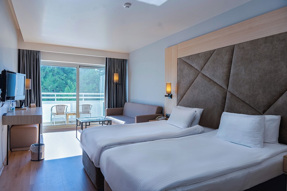 Deluxe Room (Land View) - Photo 1