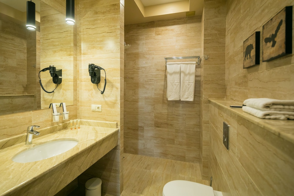 Deluxe Double or Twin Room photo 2