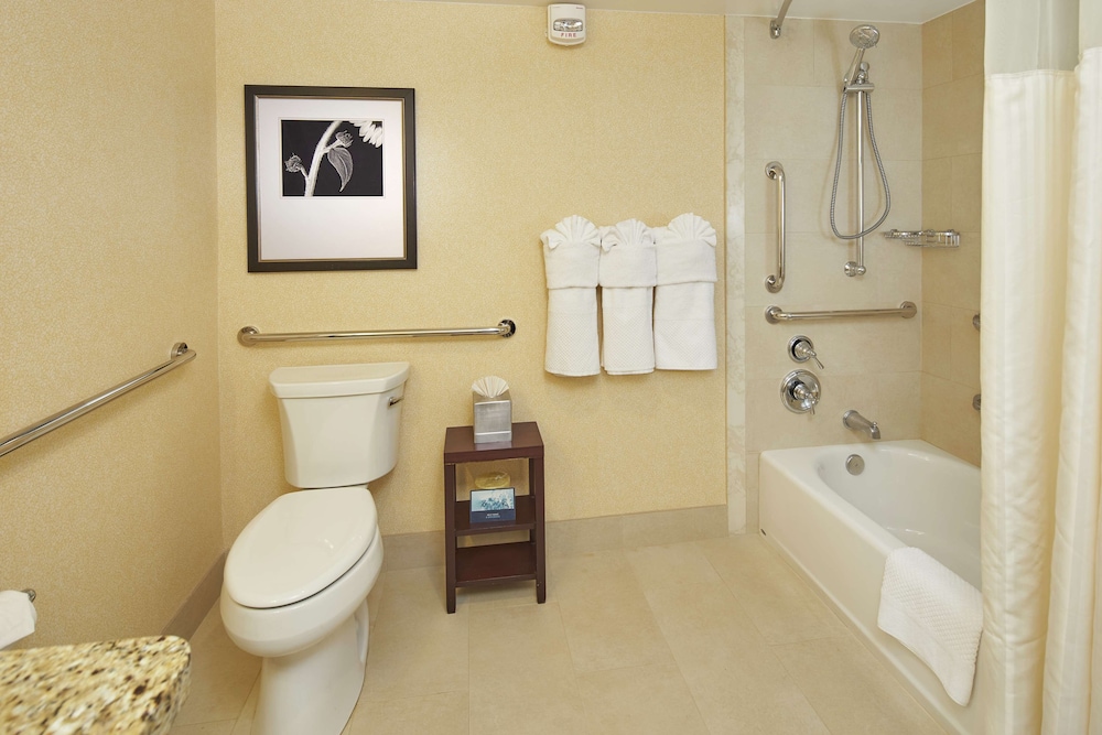 Room, 1 King Bed, Accessible (Roll-in Shower) - Photo 4