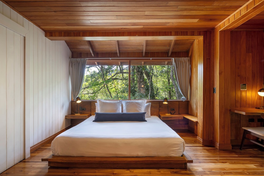 Cloud Forest Studio photo 2