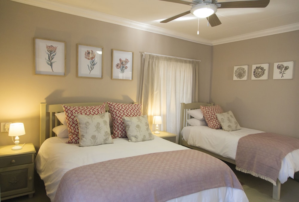 Cottage (Rose) photo 1