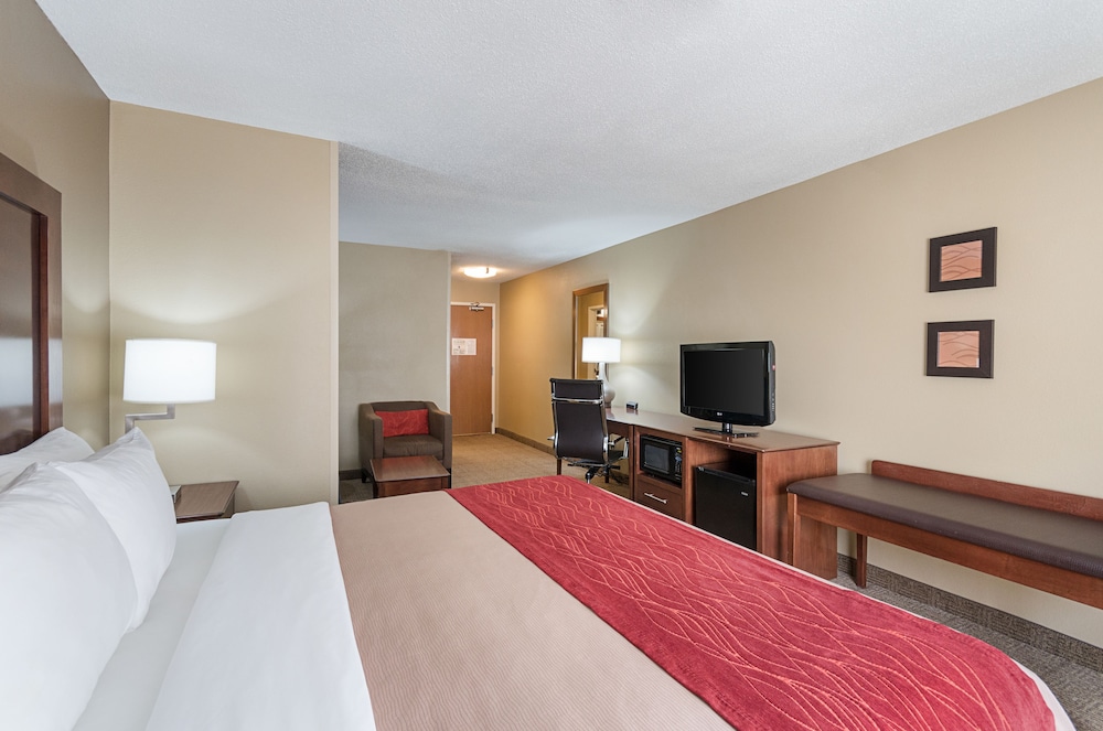Standard Room, 1 Queen Bed, Non Smoking (Pet-Friendly) photo 2
