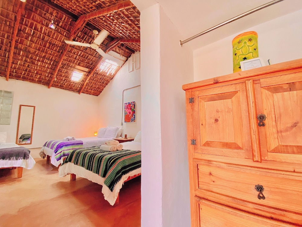 Comfort Studio Suite 1 photo 1