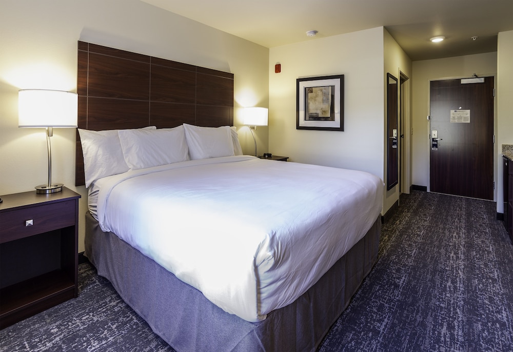Room, 1 King Bed, Non Smoking - Photo 1