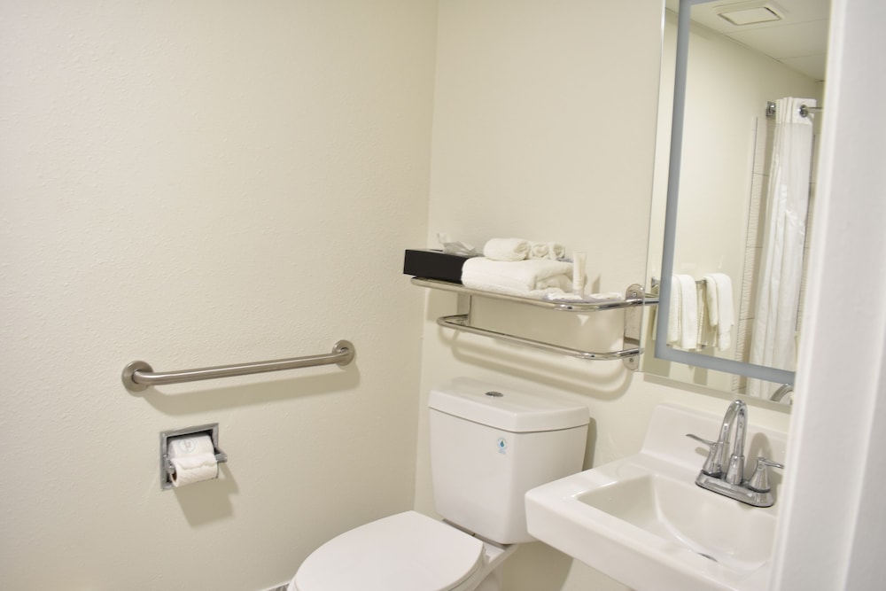 Room, 1 King Bed, Accessible, Non Smoking (Roll-in Shower) - Photo 12
