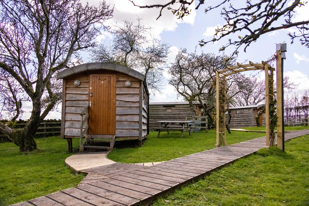 8 - Bramley Seedling Camping Pod photo 1