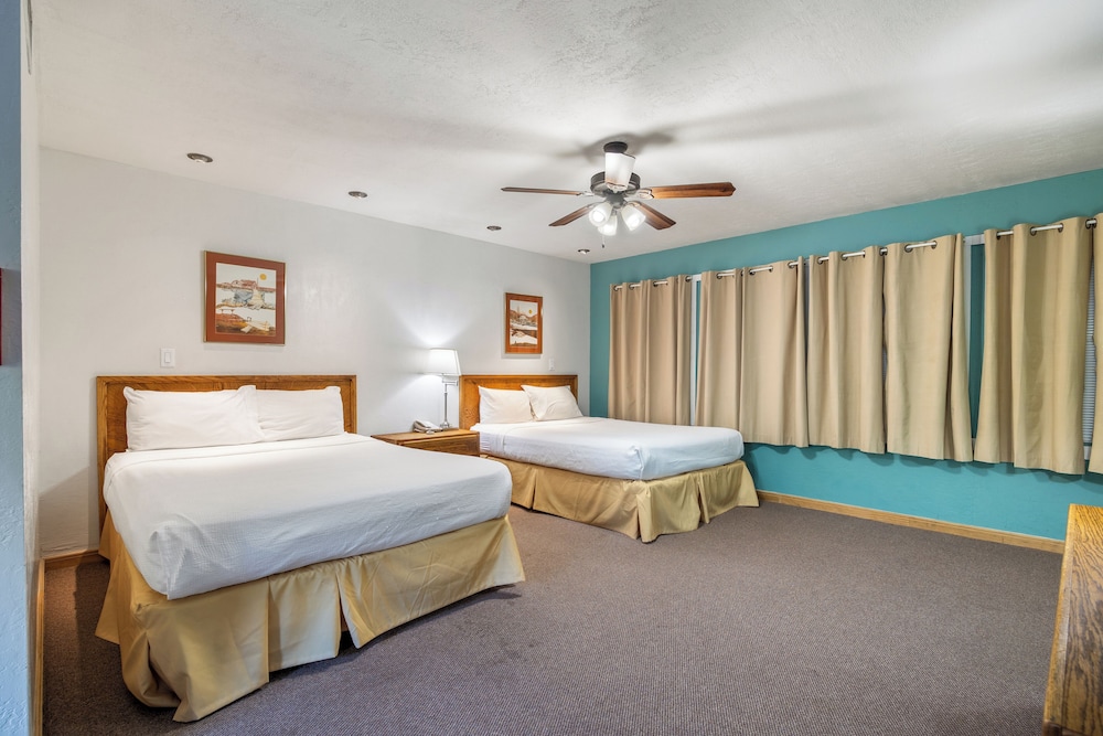 Deluxe Apartment, 1 Bedroom (Aspen - Lodge) photo 1