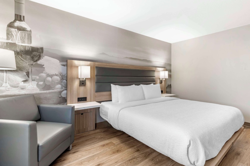 Standard Room, 1 King Bed, Accessible, Non Smoking - Photo 4