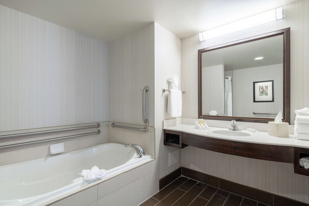 Conference Suite, Accessible Roll-In Shower photo 2