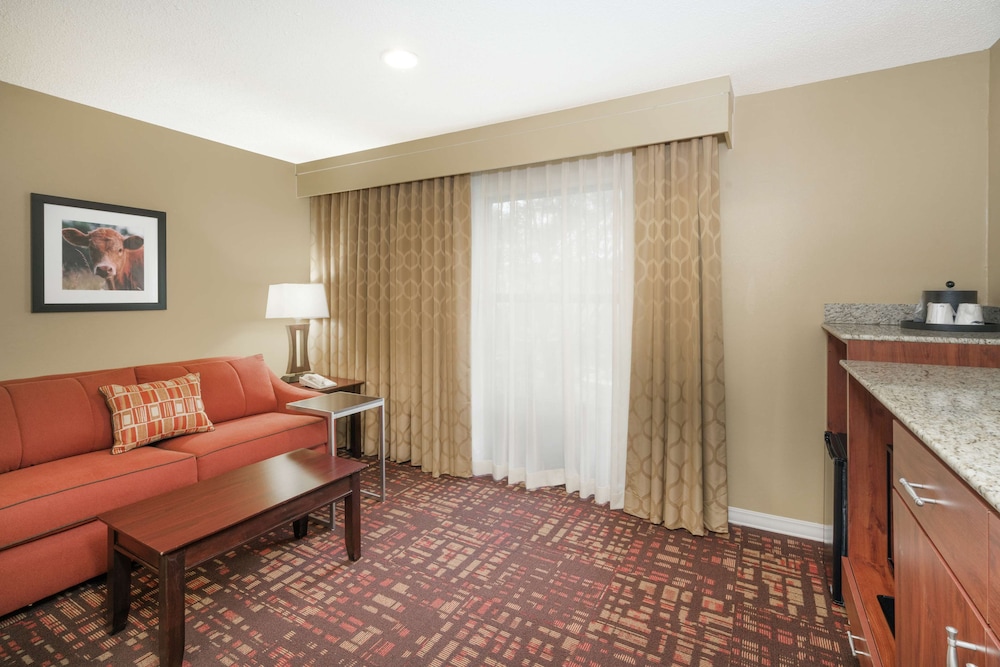 Room, 1 King Bed with Sofa bed, Accessible, Non Smoking (Hearing) - Photo 3