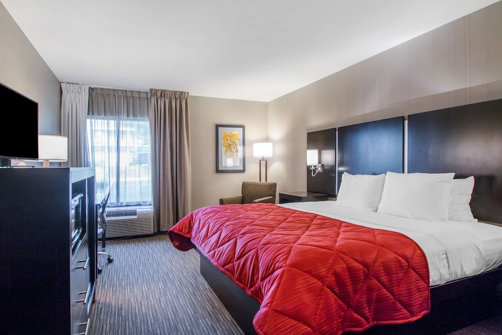 Standard Room, 1 King Bed, Accessible - Photo 1