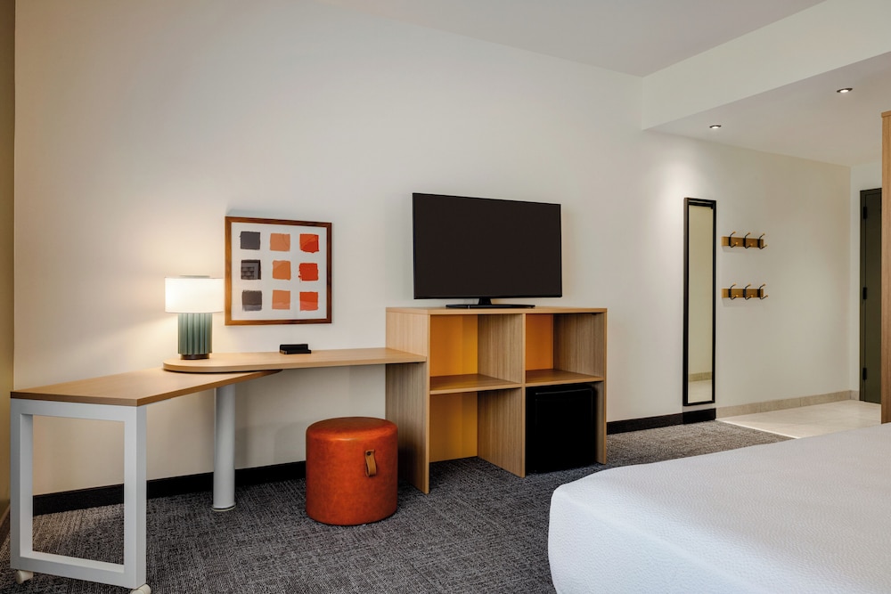 Room, 1 King Bed, Roll-in Shower (Mobility & Hearing)