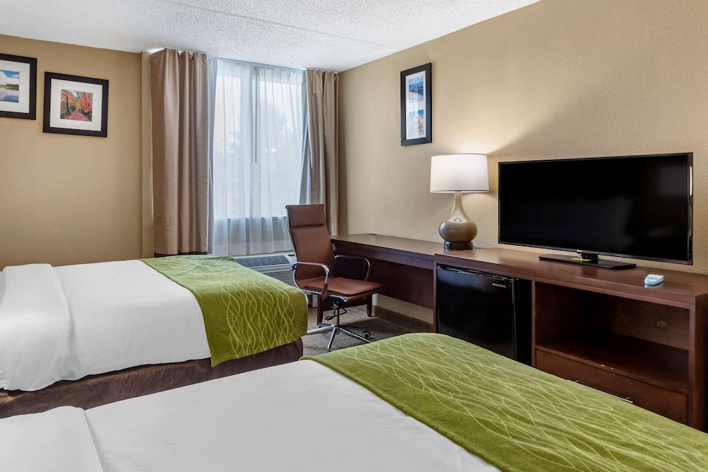 Standard Room, 2 Double Beds, Non Smoking - Photo 3